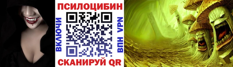 Галлюциногенные грибы Psilocybine cubensis  Чернушка 