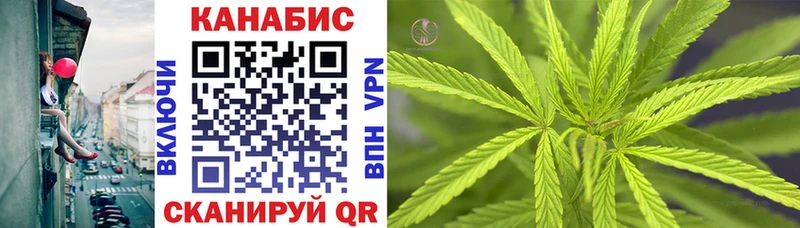 Конопля OG Kush  цены   Чернушка 